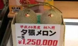 最新娱乐吃瓜251,揭秘明星幕后故事与精彩瞬间